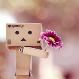 Essa Al Mazroee摄影作品