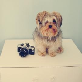 Melina Souza摄影作品