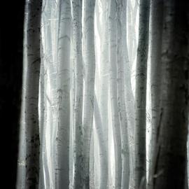 Akos Major：构成主义实践作品