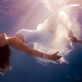 Elena Kalis水下摄影新作
