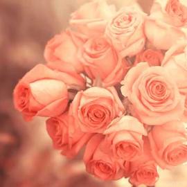 Essa Al Mazroee温馨照片欣赏