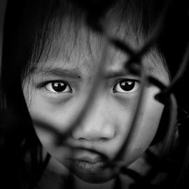 Kevin Ng摄影作品