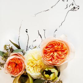 花间掠影，梦里寻狐