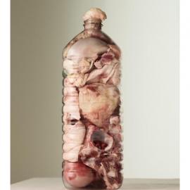 Per Johansen 瓶中实物创意摄影作品