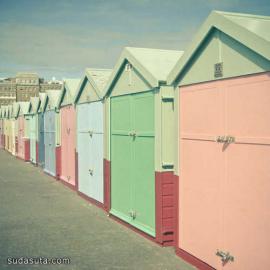 CASSIA BECK 自然的色彩