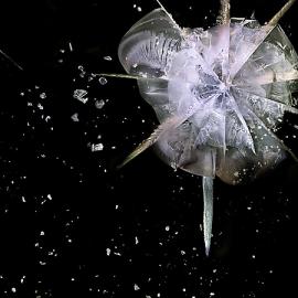 Deborah Bay摄影作品：Big Bang