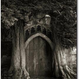 Beth Moon 时间的肖像