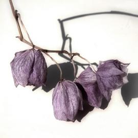 『周末影像』Busters Notater