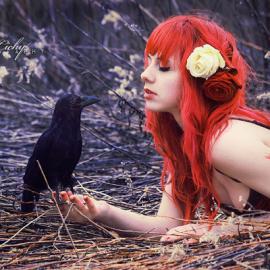 永恒的春天 - abrina Cichy的摄影作品欣赏