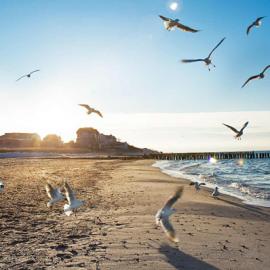 Johannes Mink摄影作品