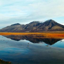 Lottie Davies摄影作品