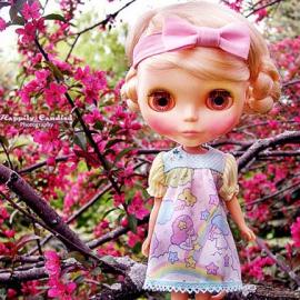 Lauren Musni家的可爱玩具