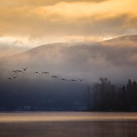 Nicolas Bouvier摄影作品