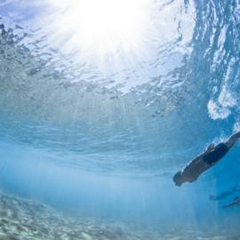 Mark Tipple水下摄影