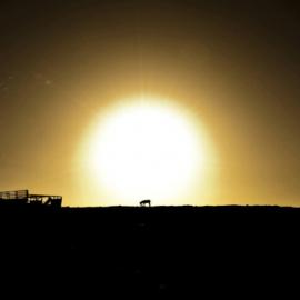 vladimir-popov摄影作品