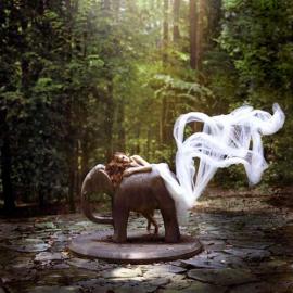 Terra Kate 梦幻的水下森林