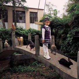 仇敏业：镜头中人性的诠释