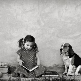 动物摄影：狗的世界