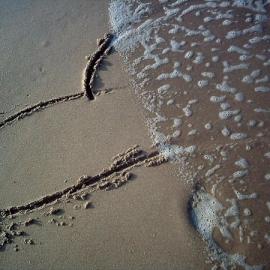 以爱情为主题的摄影作品