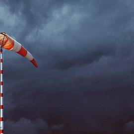 Muzi&Dxlogic摄影作品