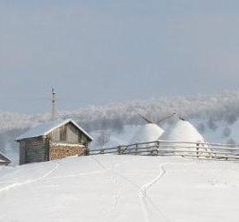 美丽的极简摄影