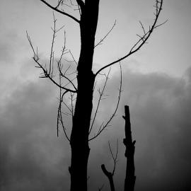 72张精彩剪影摄影作品（二）