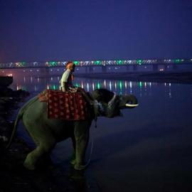 印度的Sonepur Mela节