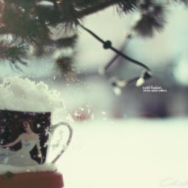 创意唯美生活小摄影――德国摄影师Christian Plochacki