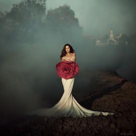 Marina & Artem Stenko摄影作品