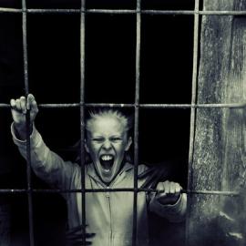 Alina Sliwinska作品