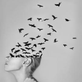 Alexandra Bellissimo 人与自然的拼贴画