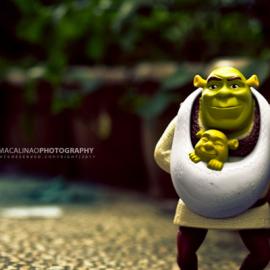 40张玩具创意摄影欣赏