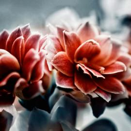 Marco Heisler摄影作品