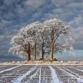 2011英国年度风光摄影奖获奖作品