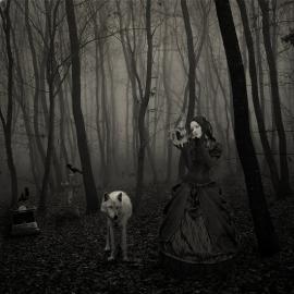 CocaineDeLux 概念摄影作品