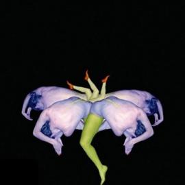 超惊艳的人体合成作品