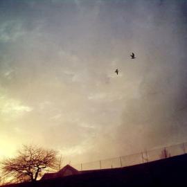 美国摄影师Cole Rise的新作