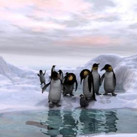 穿越百年 寻南极纯粹之梦