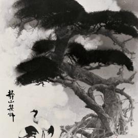 “照片中有画，画中有照片”――郎静山