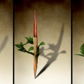 Ben Goossens：超现实主义创意摄影（一）