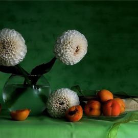 乌克兰摄影师Alain Shibko静物摄影作品