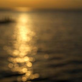 充满朦胧之美的散景摄影作品