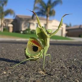 这才叫经典摄影 不容错过啊！