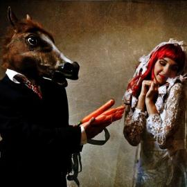 Dennis Ziliotto摄影作品