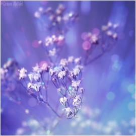 晶莹剔透的花花世界――Demon Mathiel