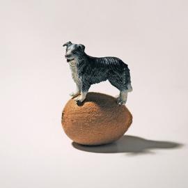 IPG创意总监的创意摄影作品（二）