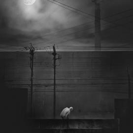 Juvenile-A 概念摄影作品