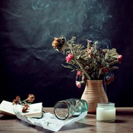 静物摄影佳作欣赏
