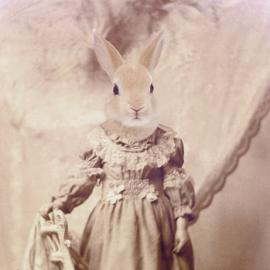 Mari Lowery奇趣摄影作品