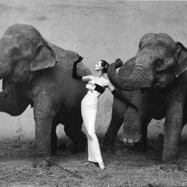 Richard Avedon摄影作品